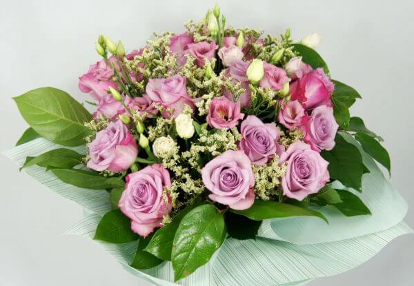Violet light roses - Mix - Image 2
