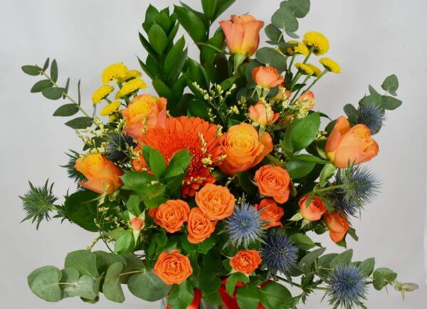 Orange roses - Mix - Image 2