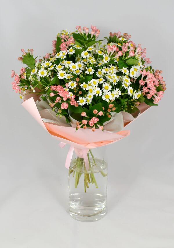 Chamomilla pink - bouquet