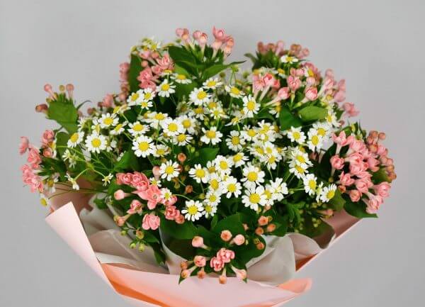 Chamomilla pink - bouquet - Image 2