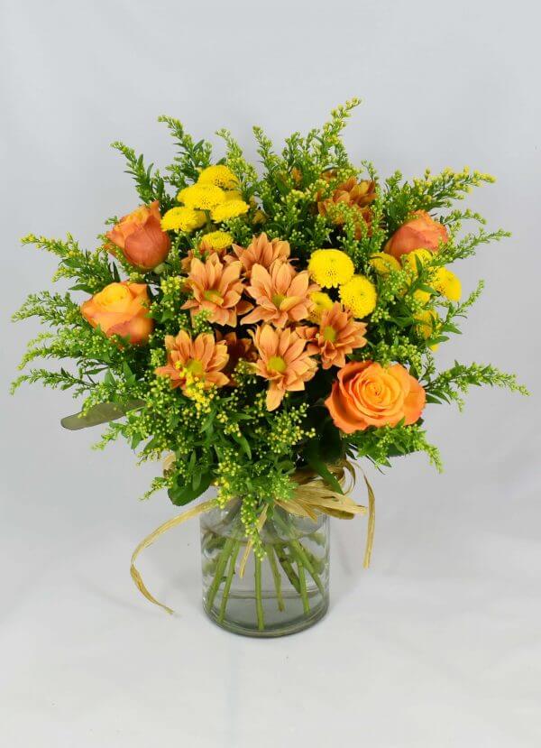 Orange solidago - Mix