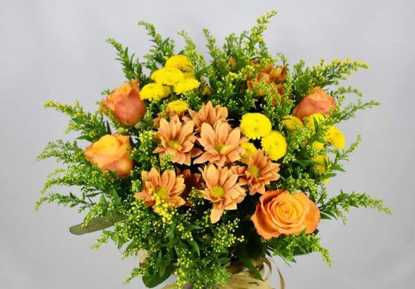 Orange solidago - Mix - Image 2