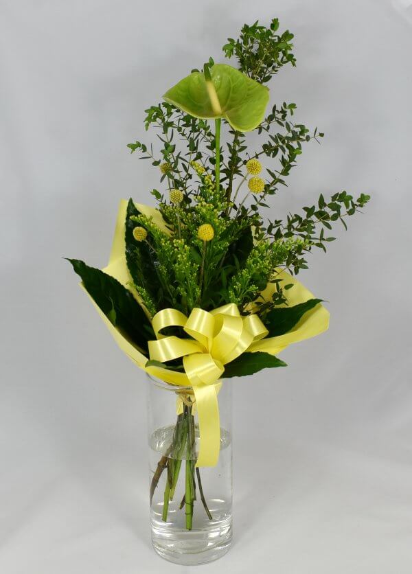 Green anthurium