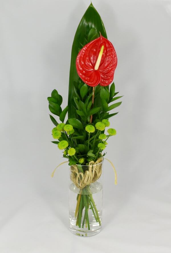 Red anthurium