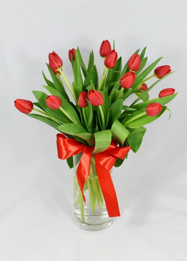 Red Tulips