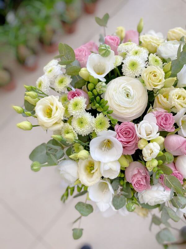 Freesia white box - Image 2
