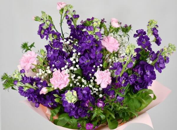 Purple mathiola - bouquet - Image 2