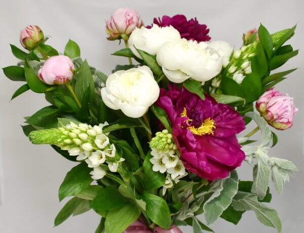 Paeonia bouquet - Image 2