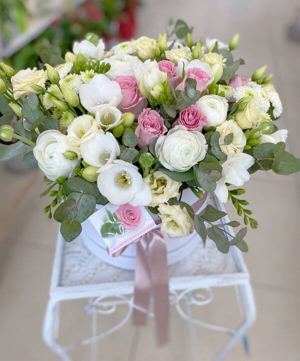 Freesia white box